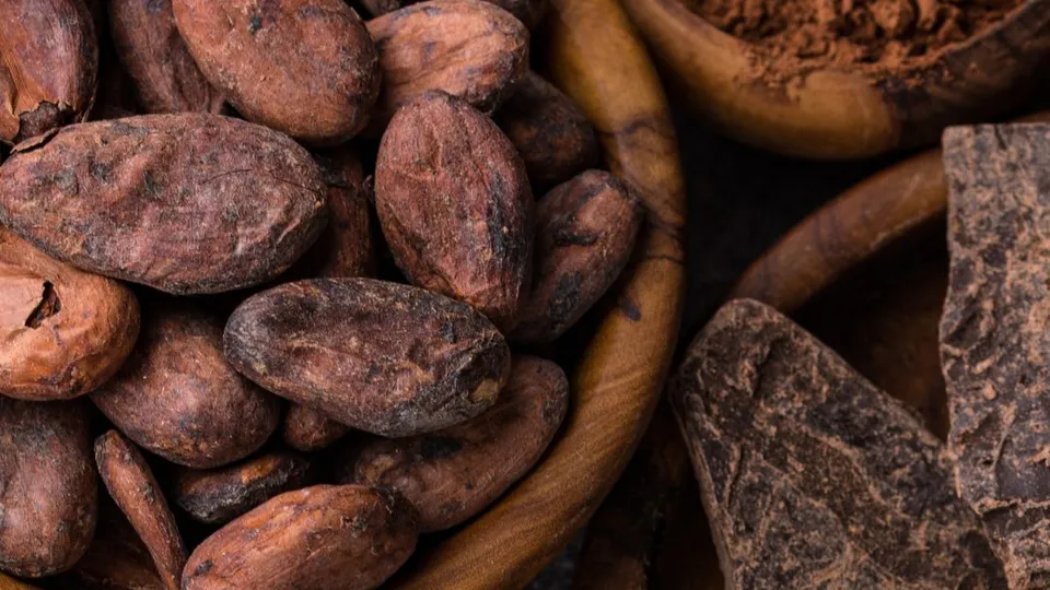 Fave di cacao in una ciotolina di legno